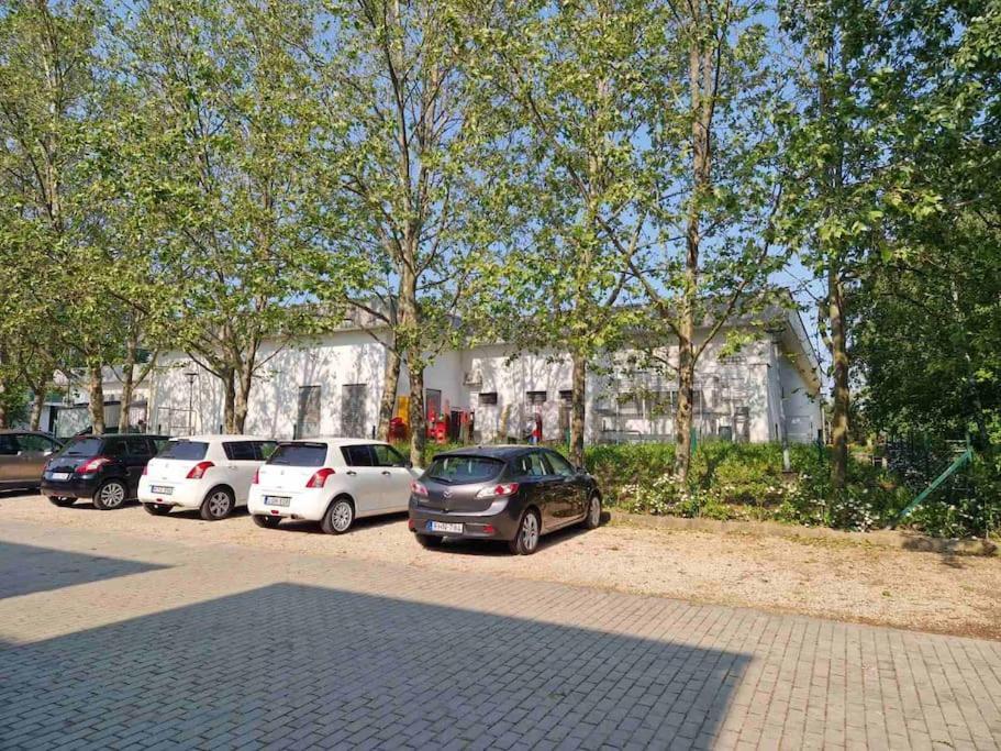 Swan Apartman - Keszthely Buitenkant foto